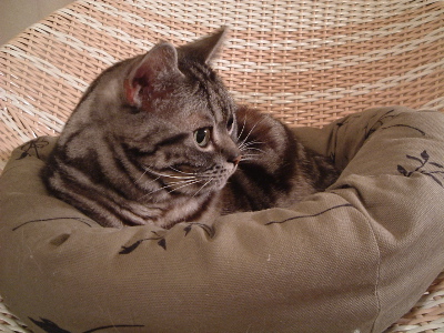 a0079803_2142415.jpg