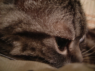 a0079803_2324311.jpg