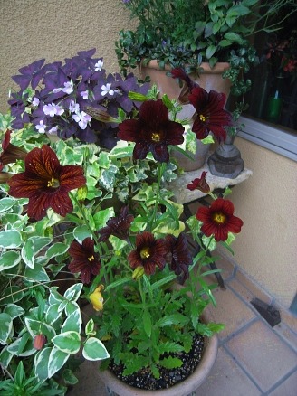 f0065604_19215791.jpg