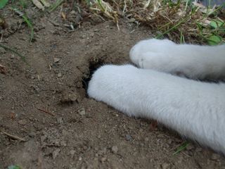 c0103205_203084.jpg