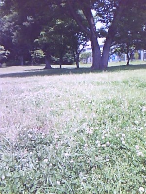 c0128710_19364135.jpg