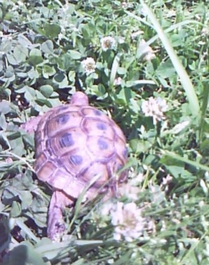 c0128710_19393487.jpg