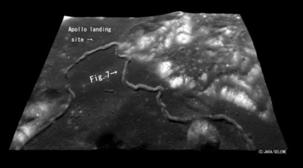 e0131113_192084.jpg