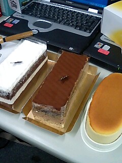 f0110013_12525690.jpg