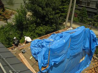 d0105615_1157650.jpg