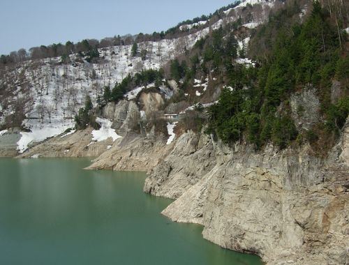 c0076218_1535414.jpg