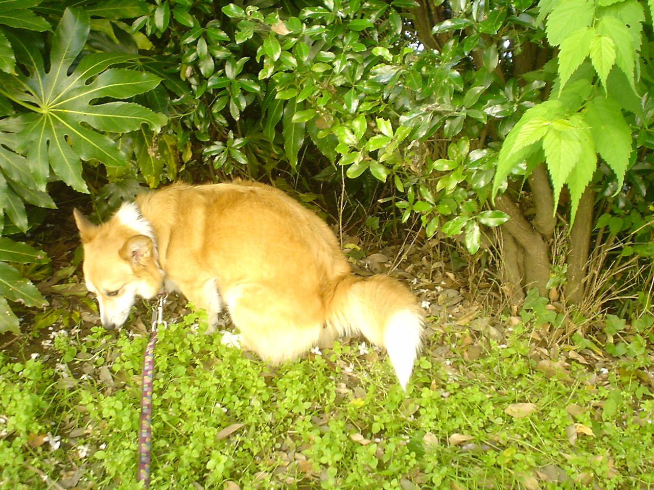 c0150520_9123589.jpg