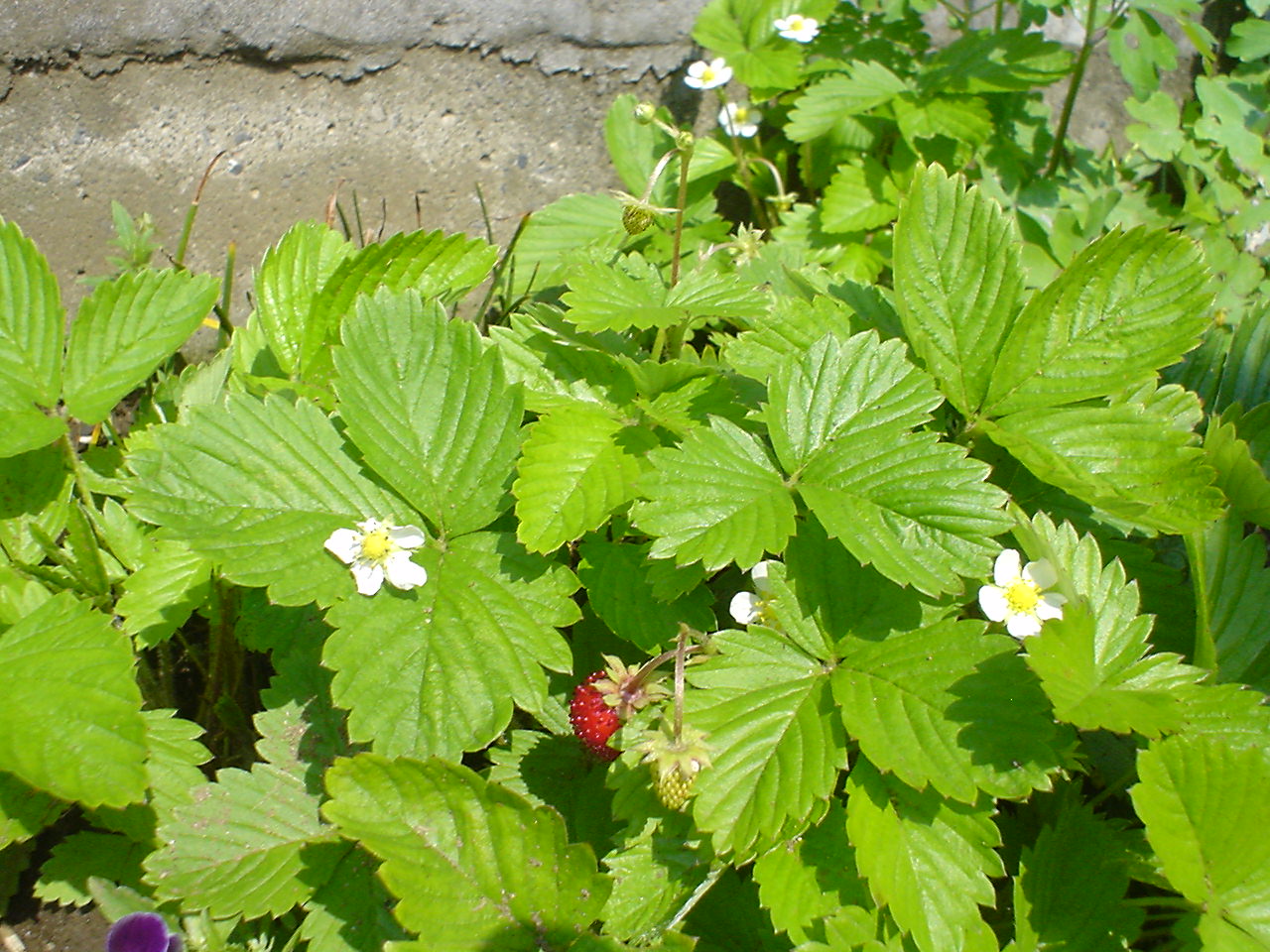 c0150520_9163089.jpg