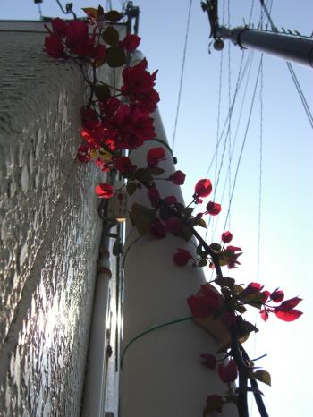 c0023323_7541563.jpg