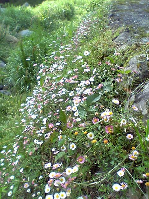 d0035823_939581.jpg