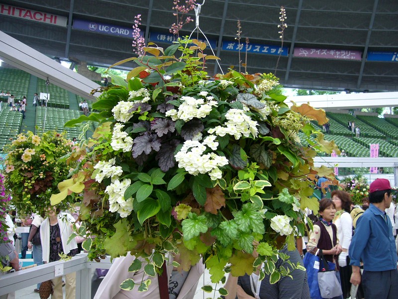 e0136424_10145214.jpg