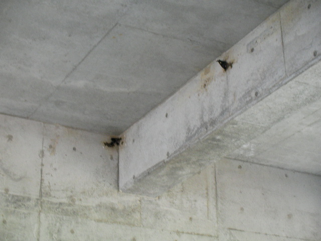 e0089227_20505269.jpg
