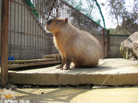 f0138828_20591623.jpg