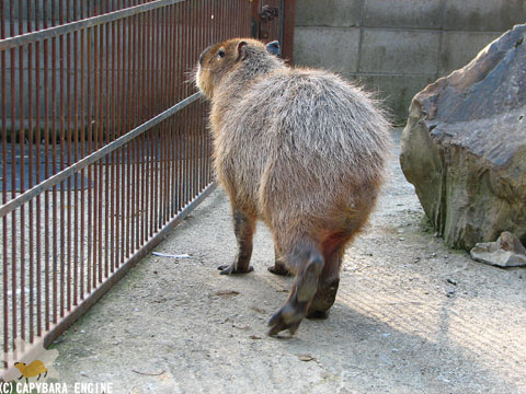 f0138828_2138826.jpg
