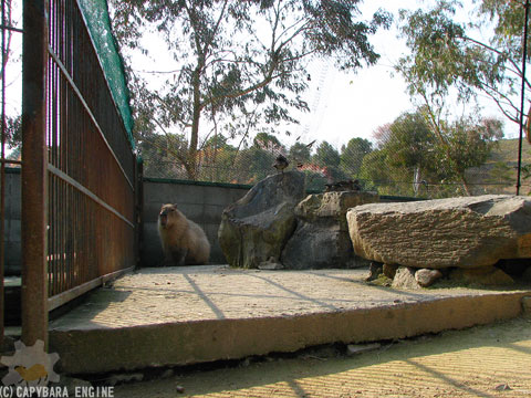 f0138828_216458.jpg