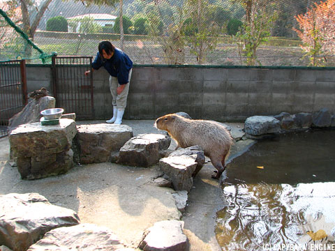 f0138828_21922.jpg