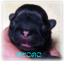 b0078030_23581880.gif