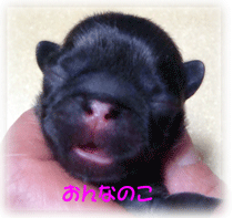b0078030_23584445.gif