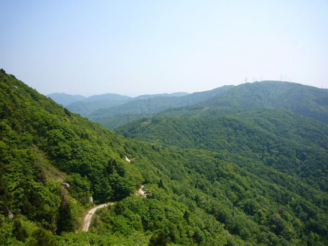 d0075131_23451029.jpg