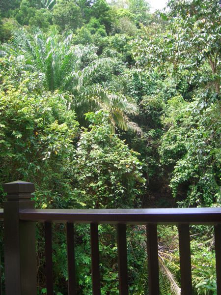 e0066733_131452.jpg