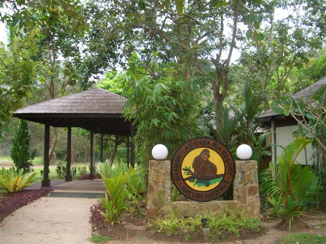 e0066733_13241033.jpg
