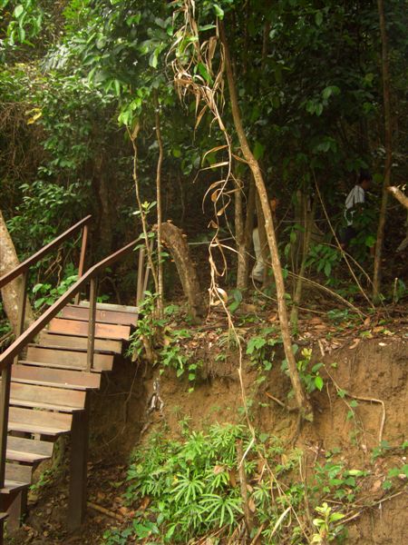 e0066733_13375991.jpg