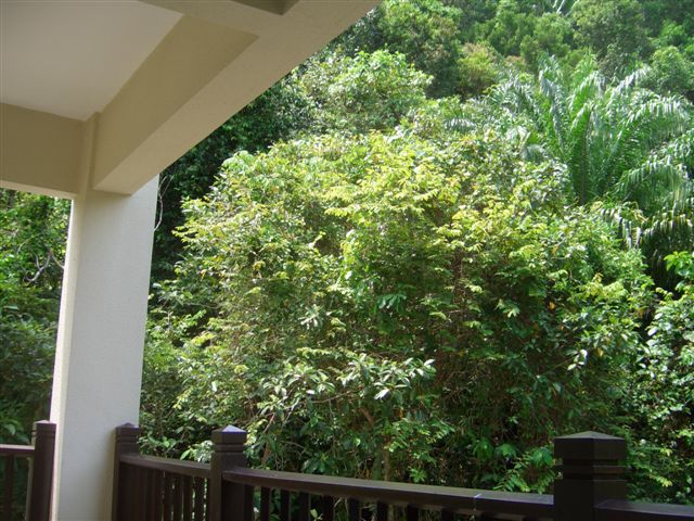 e0066733_1361240.jpg