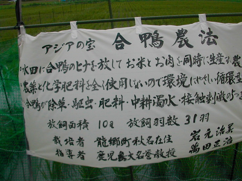 e0062635_12103729.jpg