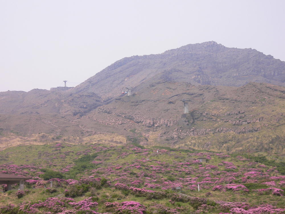 b0012636_19165917.jpg