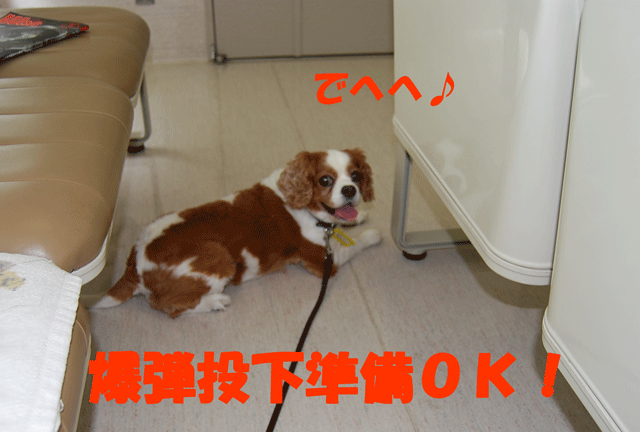 c0136838_141303.gif