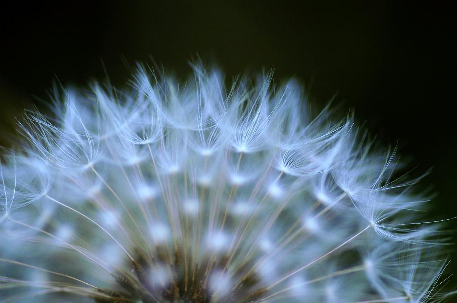 e0095142_2172778.jpg
