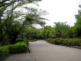 a0056943_22283125.jpg