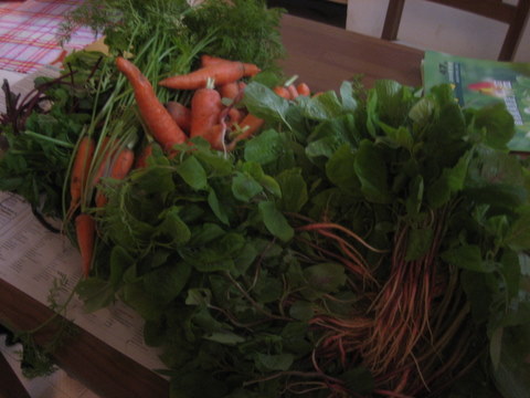 e0018143_0244461.jpg