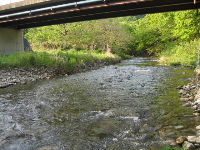 f0168947_22385610.jpg