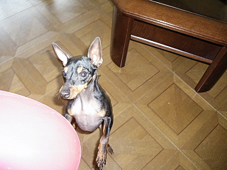 c0123149_20114915.jpg