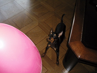 c0123149_2072150.jpg