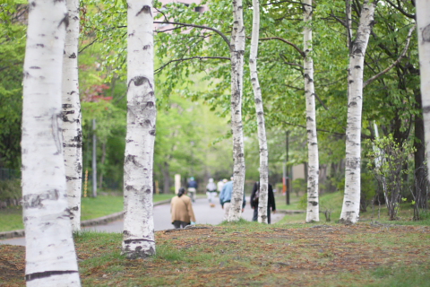 a0024250_0445511.jpg