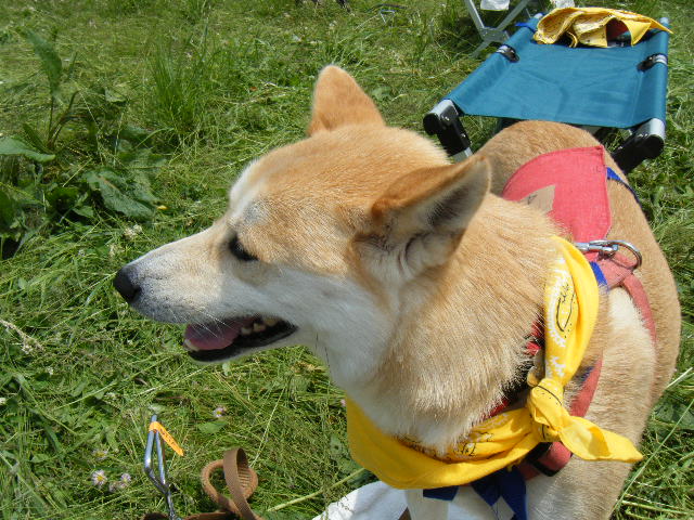 b0072650_21575553.jpg