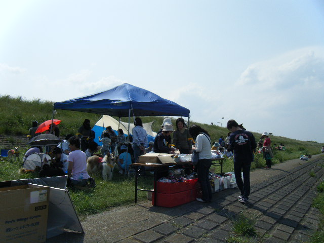 b0072650_227496.jpg