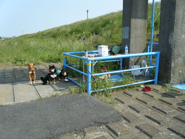 b0072650_228395.jpg