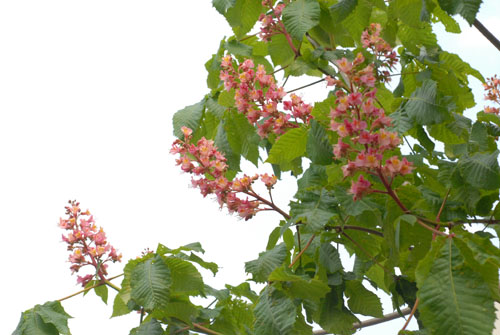 f0020352_1551353.jpg