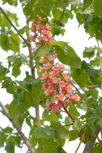 f0020352_15515533.jpg