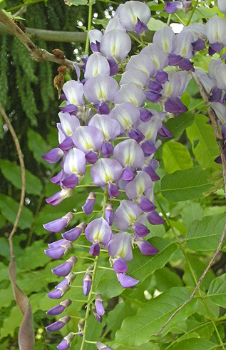 a0001354_19331054.jpg