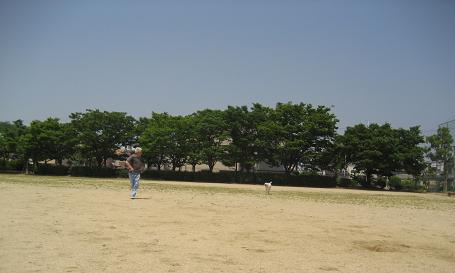 c0117058_9431497.jpg