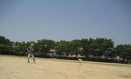 c0117058_9433559.jpg