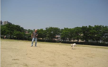 c0117058_943502.jpg