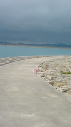 d0089759_11435731.jpg