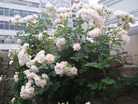 b0061261_9451960.jpg