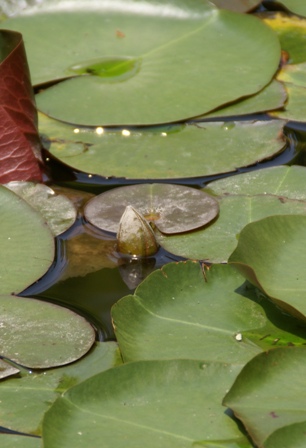 a0091666_23291441.jpg