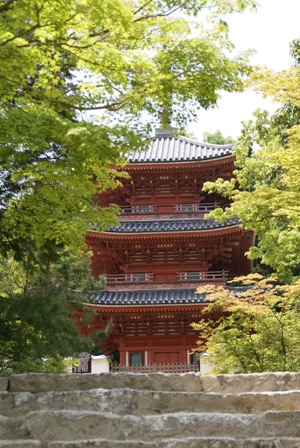 a0091666_23312936.jpg